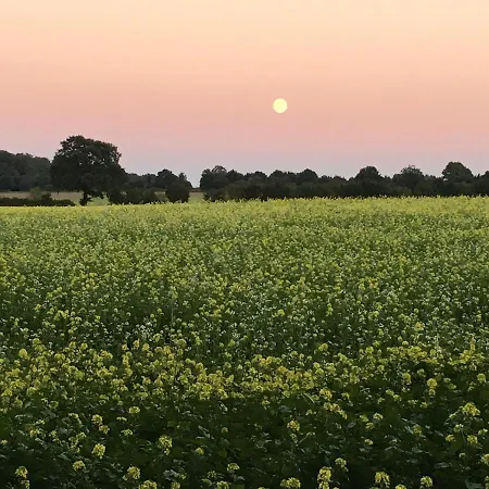 Apartamento Ferienwohnung Basthorst Basthorst (Schleswig-Holstein)