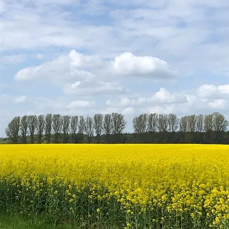 Ferienwohnung Basthorst