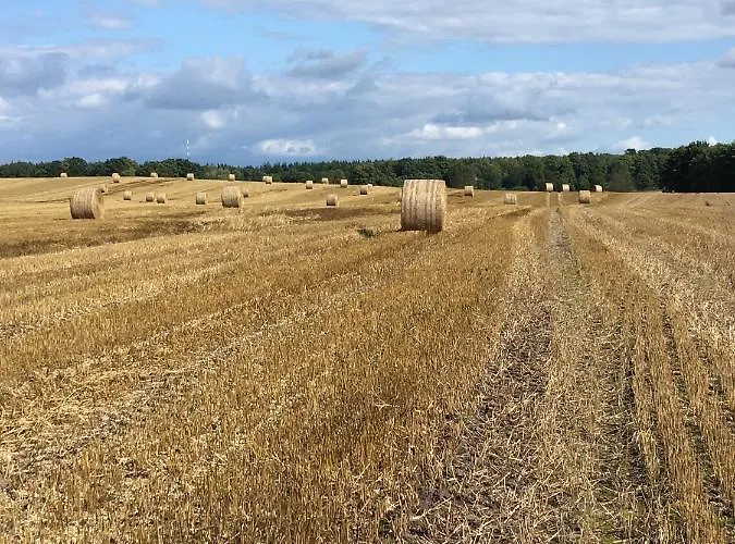 Ferienwohnung Basthorst Apartment *