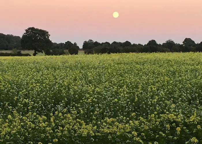 Apartment Ferienwohnung Basthorst Basthorst (Schleswig-Holstein)